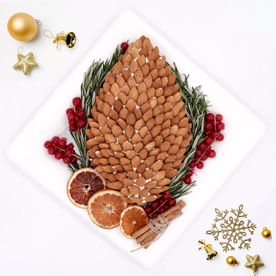 The Cheese Pine Cone